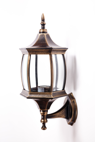 Настенный уличный светильник Oasis Light LION 85101