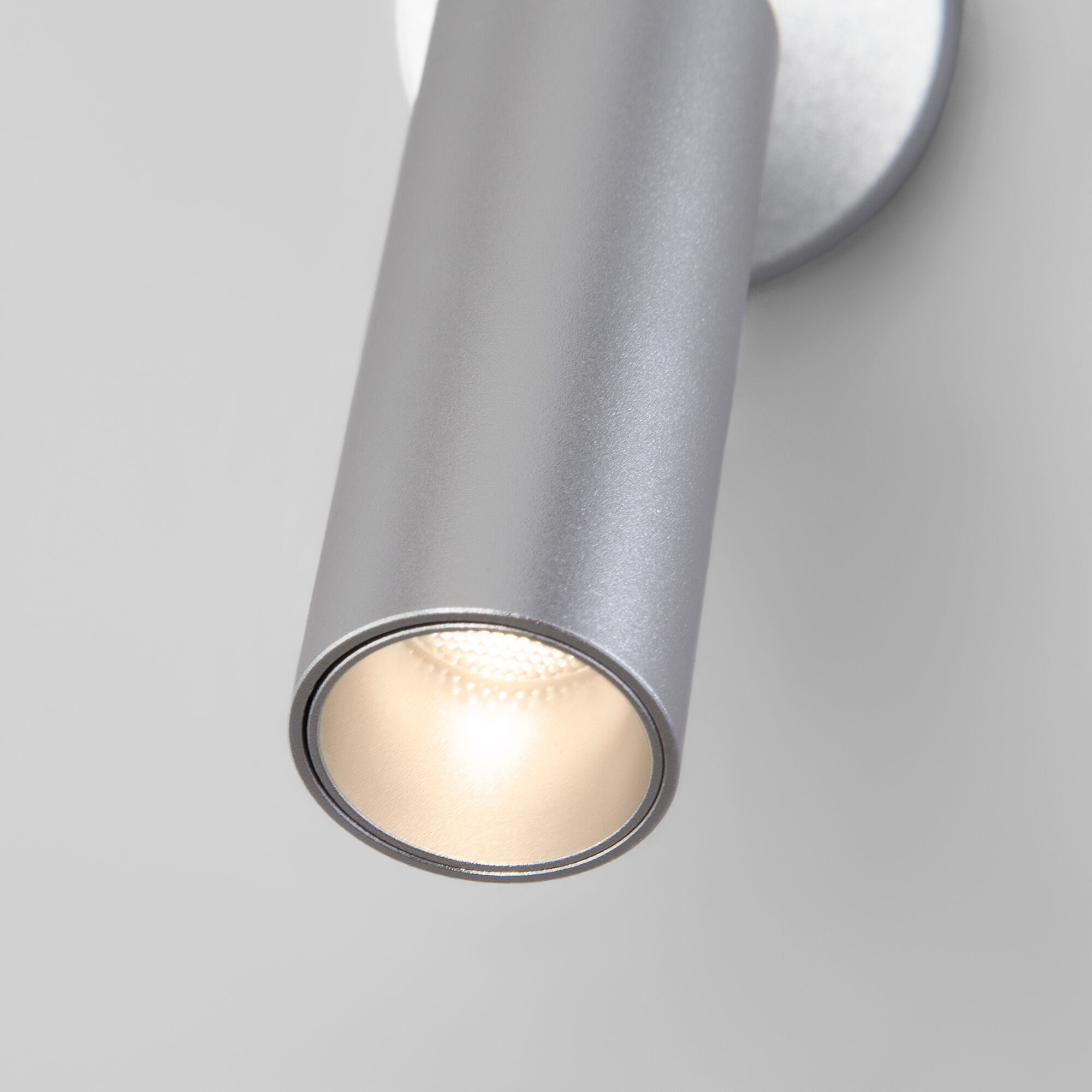 Спот настенный Eurosvet Pin 20133/1 LED серебро