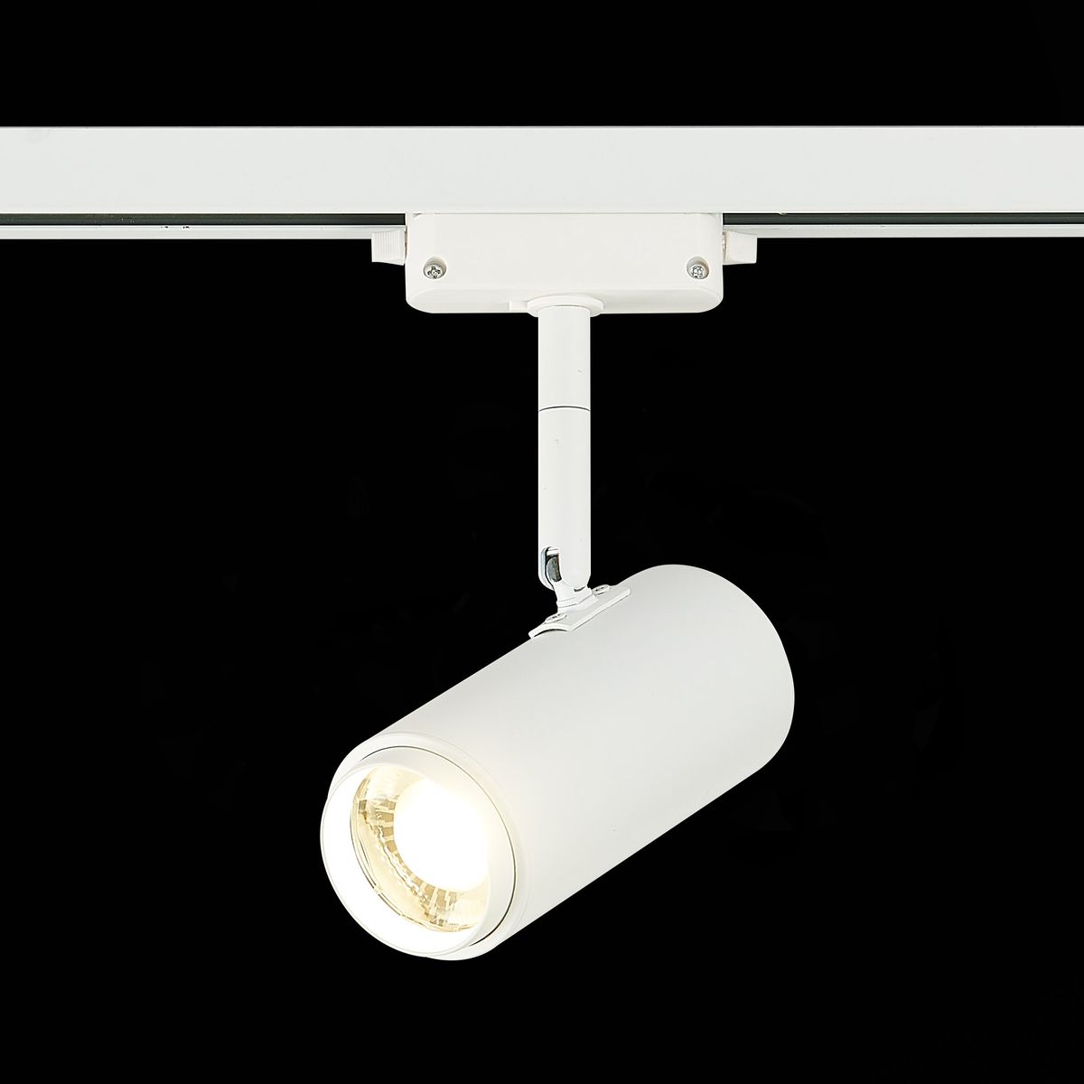 Трековый однофазный светодиодный светильник ST Luce ZOOM ST600.546.12